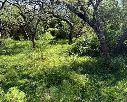 Alquiler Campo Ganadero de 92,56 Ha en Grutly