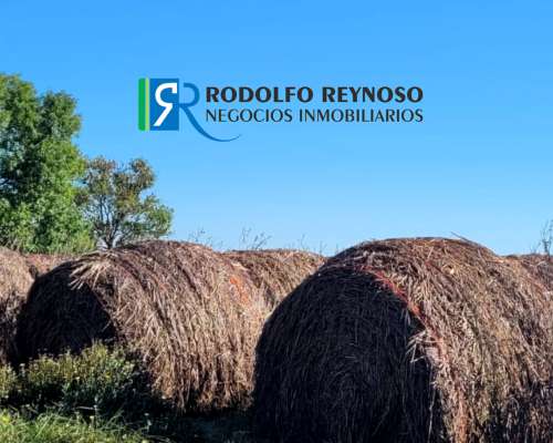 Campo en Villa Elisa - Entre Rios