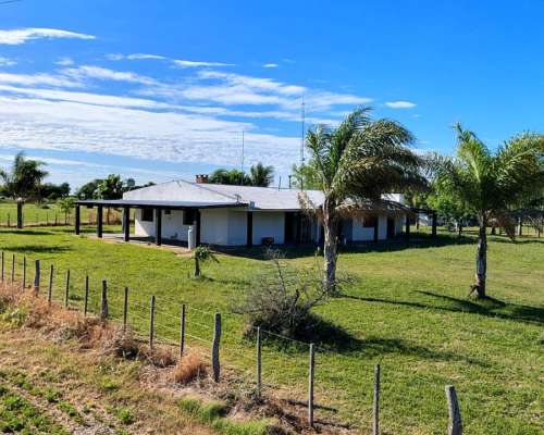 Campo Ganadero en Producción Federal E.r.