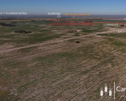 Venta Campo 4.273,7 Has para Siembra a 70 km al Este Tostado