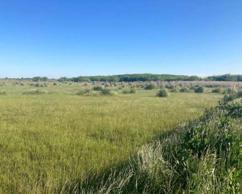 General las Heras- 28 Ha -buenos Aires