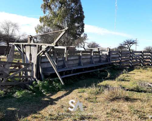 Vende: Campo Ganadero de 2010 Hectáreas en General Acha, DEP