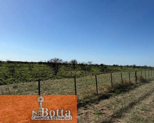 11000has en Venta en Santa Isabel, la Pampa