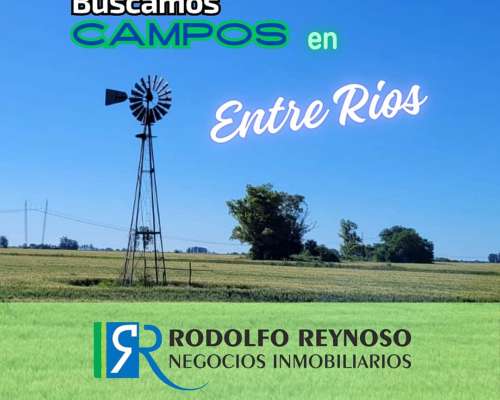 Buscamos Campos en Entre Ríos
