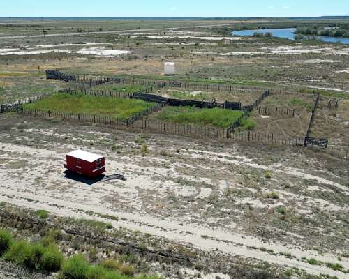 875 Ha Sobre Río Negro – 80 Ha Riego – Campo Mixto