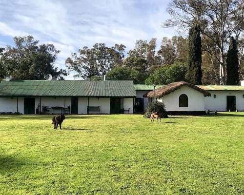 600 Has. Mixtas las Flores