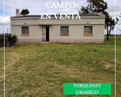 Campo en Chasico - Torquinst 665 Has