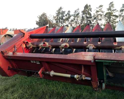 Se Vende Girazolero 10 a 52cm