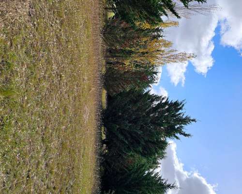 Esplendida Ubicación Sobre Ruta 86