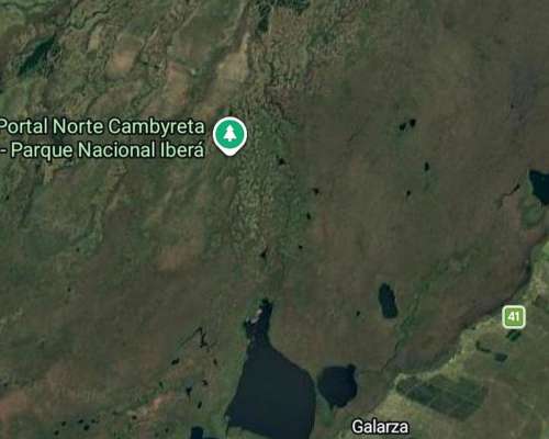 Vendo en el Iberá Campo de 3000 Has.