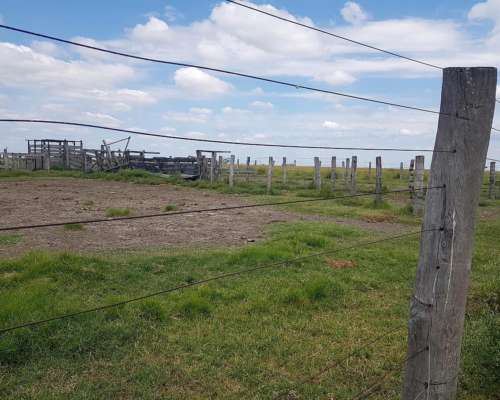 Gato Colorado Vendo 2100 Ha Ganaderas