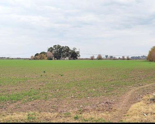 Vendo Excelente Lote de 12.5 H Agrícola con Mejoras