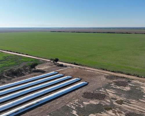 Averías, Taboada, Santiago del Estero - 1.625 Ha