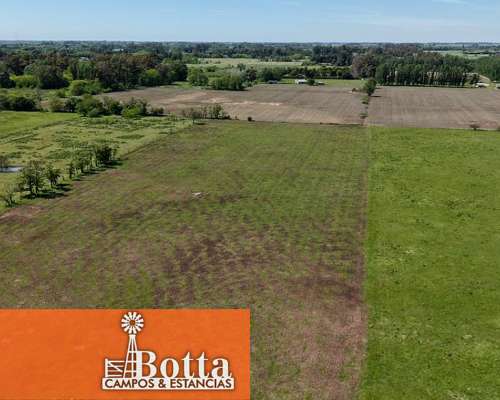 Chacra en Venta – 16 Has – Mercedes, Buenos Aires