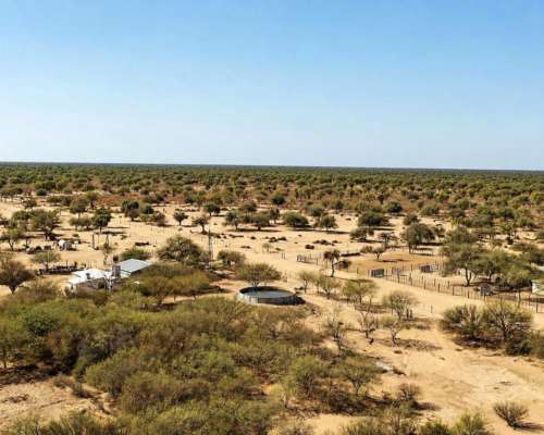 Guanaco Muerto, Cruz del Eje, Córdoba - 4.500 Ha