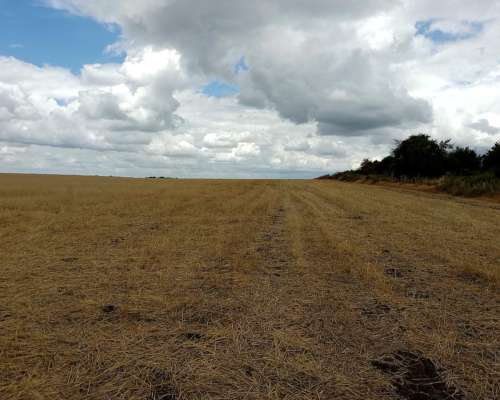 200 Ha Agricolas en Concepcion del Uruguay