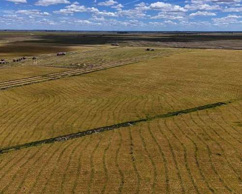Mercedes, Corrientes - 4.050 Ha