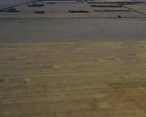 Vendo Campo en Cordoba Maquinista Gallini 160 Has Agricolas