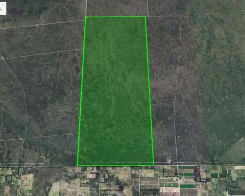 La Escandinava / Mendoza - 1000 Has.