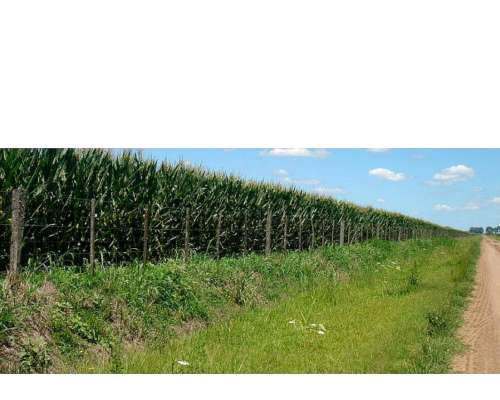 1500 Has Agricolas, Ganadera en Obispo Trejo Cordoba
