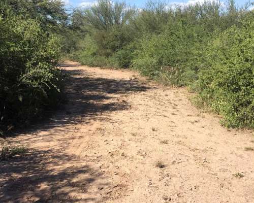 Bandera (sgo. del Estero) -972 Has.- para Desarrollar-