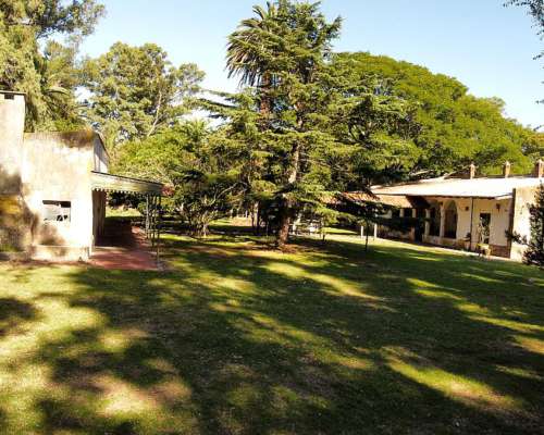 1190 Has. Mixtas. Saladillo.