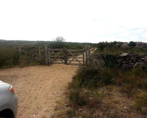 3400 Has. Aptitud Ganadero a Desarrollar Tosno y Alrededores