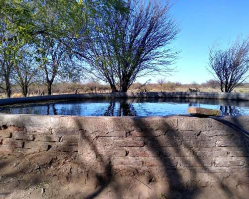 Campo Ganadero 820 Hectareas. Ubicado en Navia, San Luis
