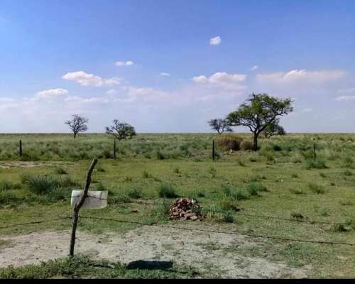 Se Vende Y/O Alquila Campo en Provincia de Santa FÉ