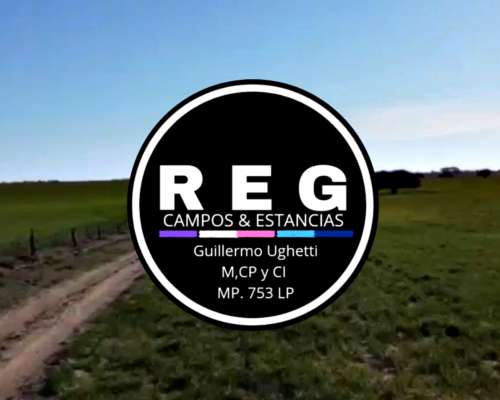 350 Has - Anguil, LP