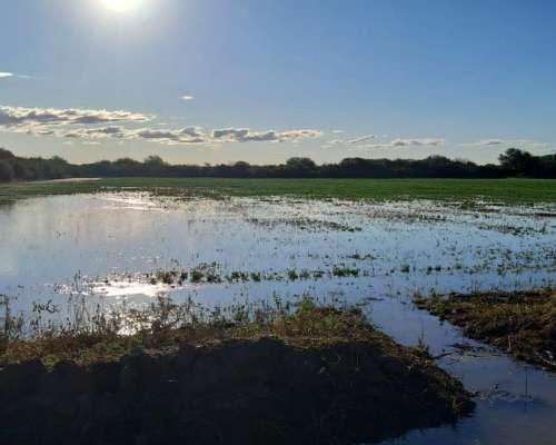 25 Hectareas con 4 Hectareas de Alfalfa Arriendo a 3 Años
