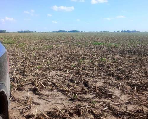Victoria, 20 Has Agricolas