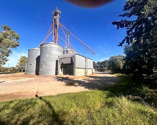 Planta de Silos 6500 Toneladas