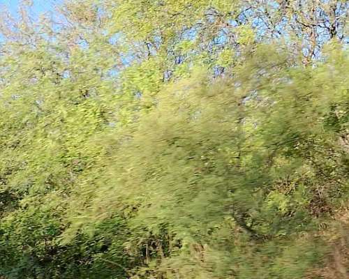 780 Hectareas a 5 km de Añatuya Pegadas al Canal Monte Facil
