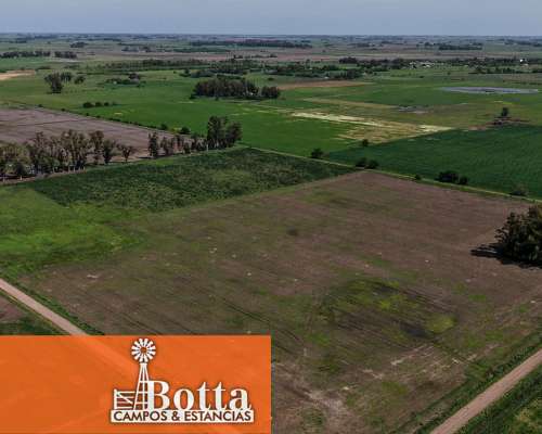 Chacra en Venta – 19 Has Agrícolas – Navarro, Buenos Aires