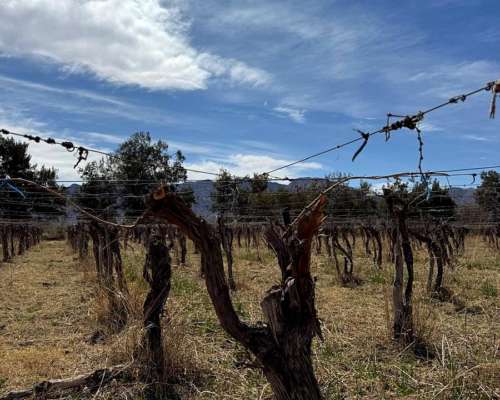 Finca Productiva en Venta – 112 Ha con Riego