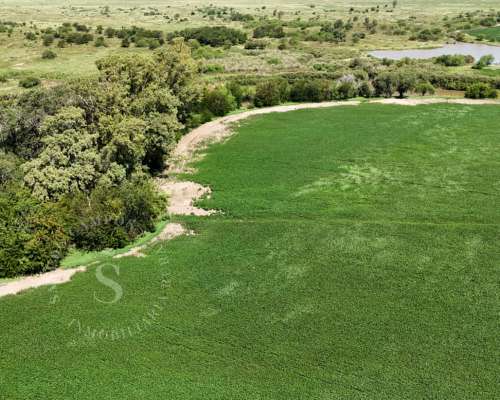 Venta Campo en Correa, Santa FE. 65 HA. Mixto.