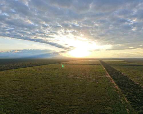 Pcia. de Salta - la Estrella 2125 Ha