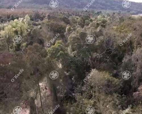 Campo Venta de 6300 Has en Oran, Salta