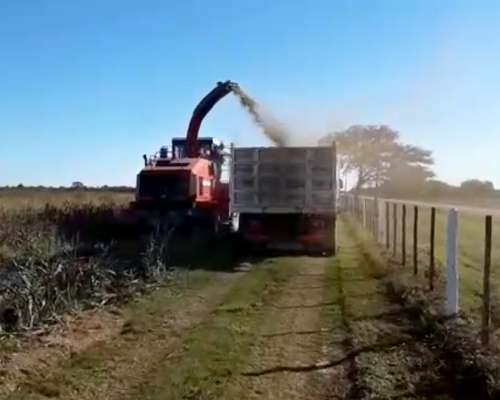 Campo 997 Has. Limpias - Inst. Feedlot - Alfalfa - Riego