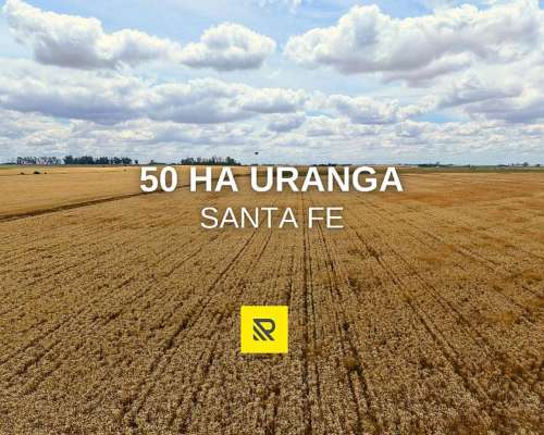 50 Ha Uranga Santa FE