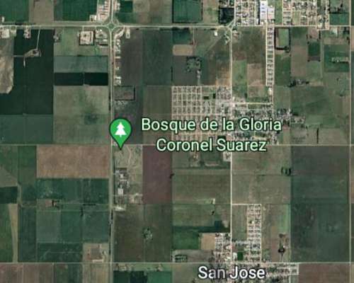 Vendo 35 Hectáreas Ubicadas en Coronel Suarez Pcia de BS