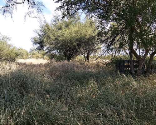 Campo Mixto en Venta - 1549 Hectáreas