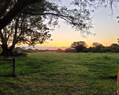 Alquiler de Campo en Mercedes Corrientes