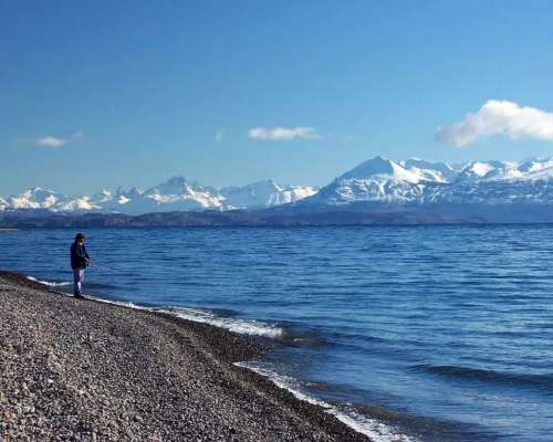 Venta de 8.900 Has. Santa Cruz - Perito Moreno - Patagonia