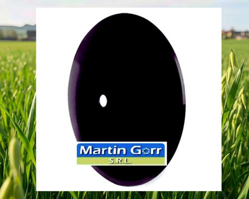 Discos Lisos y Dentados para Rastras Consúltanos