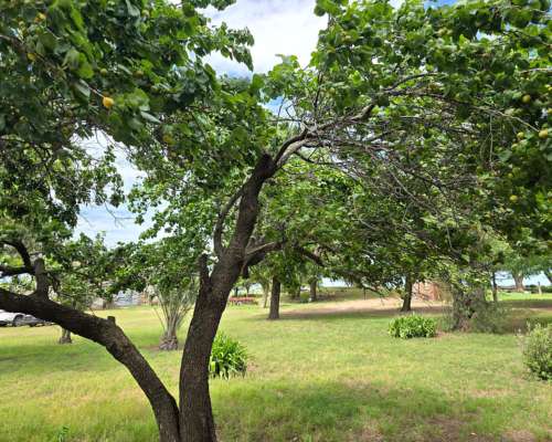 Vendo 500 Ha Mixtas Villa Mercedes