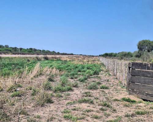 Campo Ganadero SGO del Estero