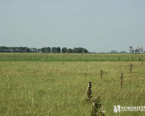 Cañuelas , G.b.a. Zona Sur, Argentina