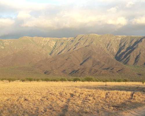 Campo Agricola Ganadero Ferlot en Catamarca